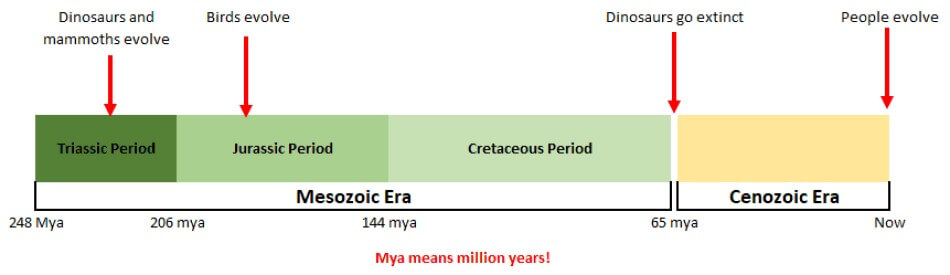 Dinosaur period timeline.