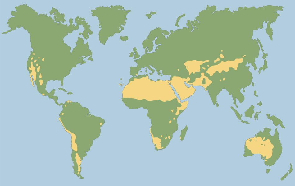 A world map with the largest deserts on Earth highlighted. 