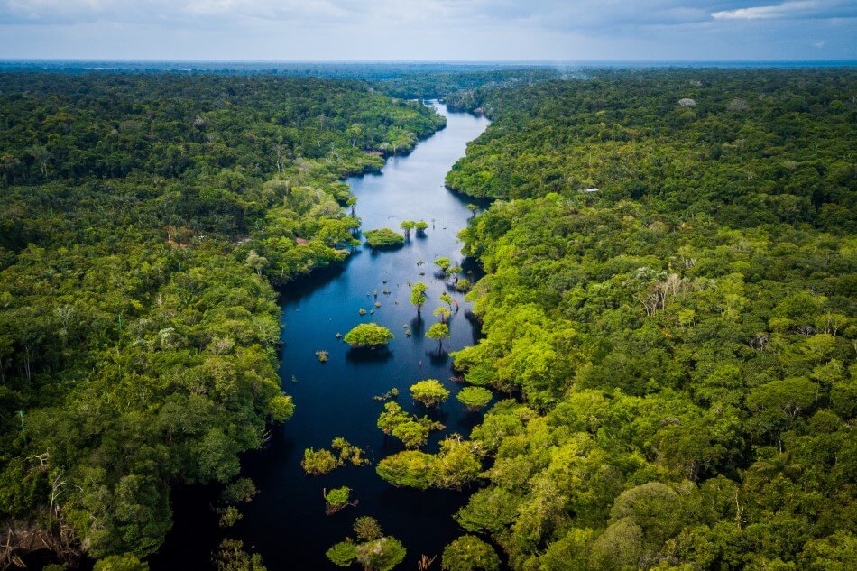 The Amazon River flowing through Anavilhanas National Park.