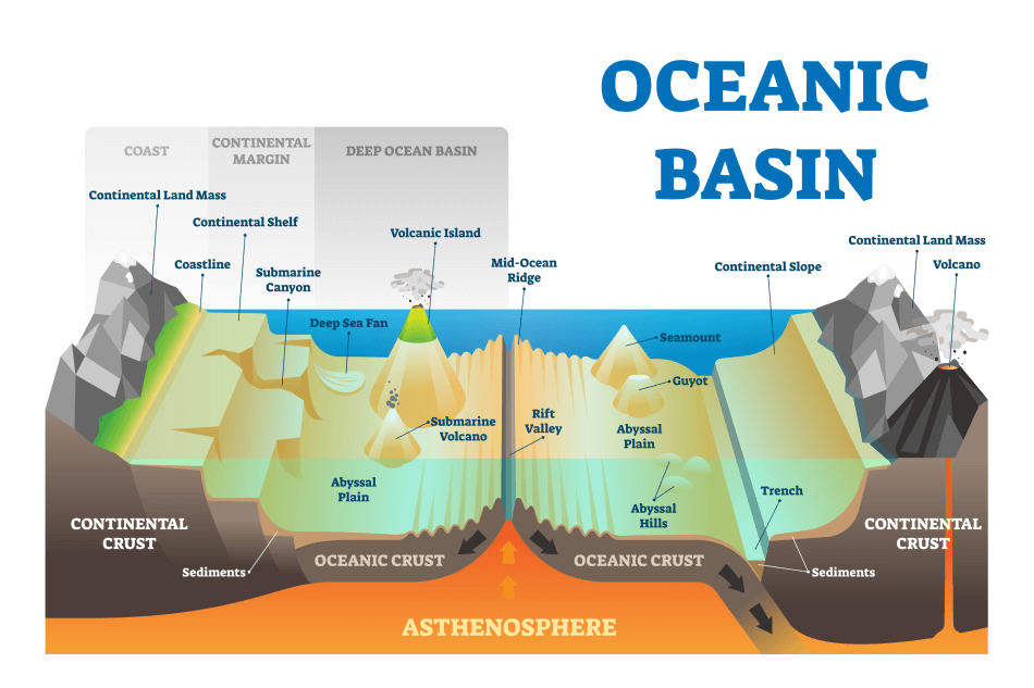 An illustration showing features of an oceanic basin, such as continental shelves, abyssal plains, volcanic islands and more.