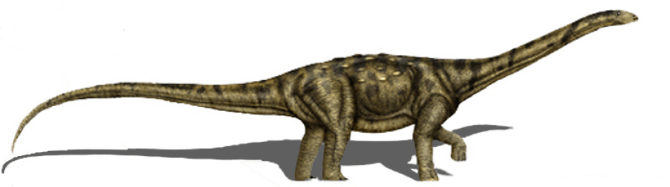 Adamantisaurus