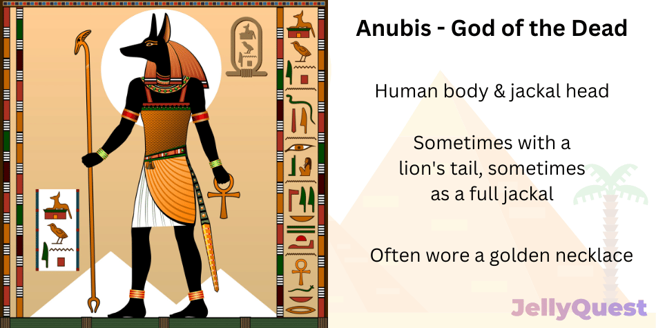 An illustration of Anubis, god of the dead. Bite-sized facts also accompany the illustration: Human body & jackal head, sometimes with a lion's tail, sometimes as a full jackal. often wore a golden necklace