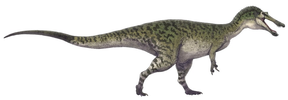 An illustration of how the Baryonyx could have looked.