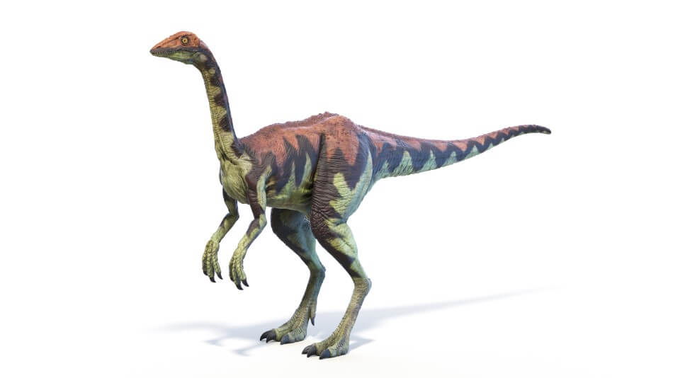 A 3D render of a Archaeornithomimus, which is a bird-like dinosaur.