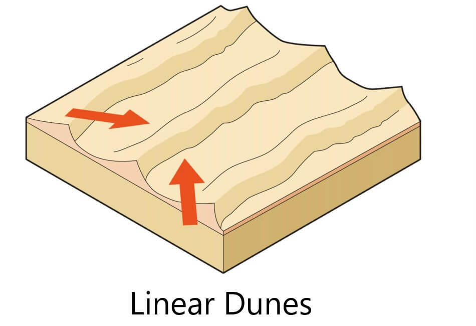 An illustration showing how a linear sand dune is formed.