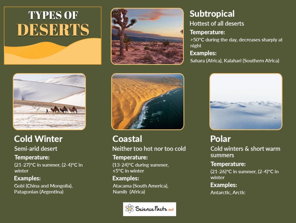 A graphic highlighting the different types of deserts, such as subtropical, cold winter, coastal and polar. 