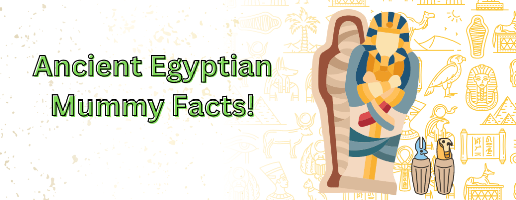 ancient Egyptian mummy facts