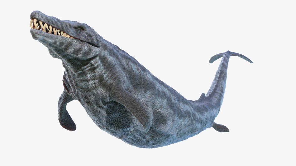 A 3D render of a Basilosaurus, which was a very primitive species of whale. It looks like a dolphin but with a head similar to an alligator.
