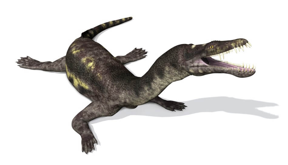 A 3D render of a Nothosaurus, which looks like a large lizard with a long snout and ferocious teeth.
