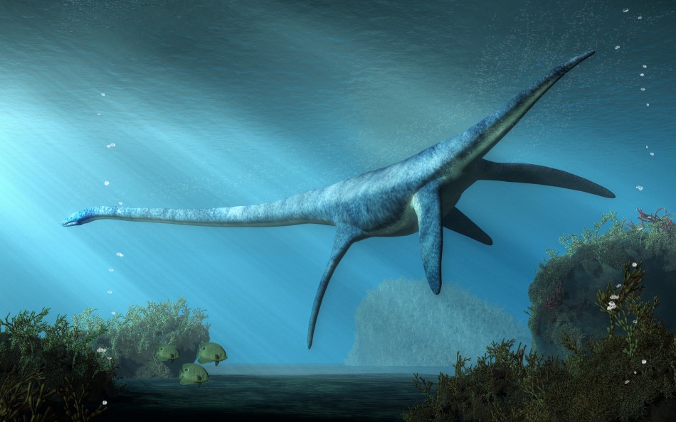 An image of a Plesiosaurus, which looks like a very large, very long-necked turtle without a shell. 